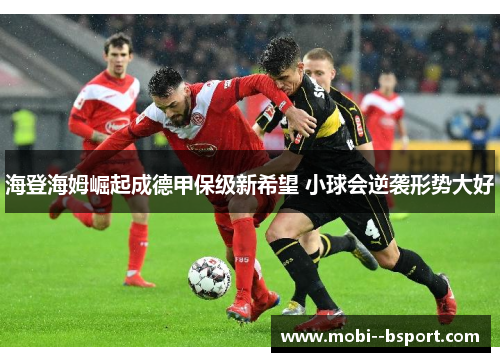 海登海姆崛起成德甲保级新希望 小球会逆袭形势大好